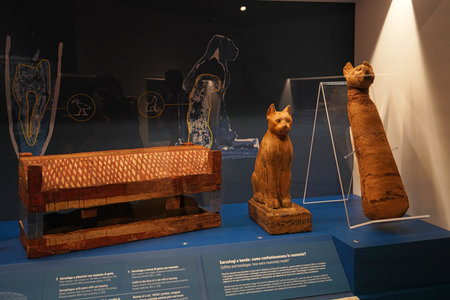 TURIN, ITALY - AUGUST 19, 2021: Cat mummy. Mummification of cat during the Egyptian civilization, Egyptian Museum of Turin, Italyのeditorial素材