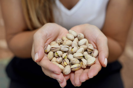Pistachio seeds. Close-up of female hands holding pistachio seeds in the park.の写真素材