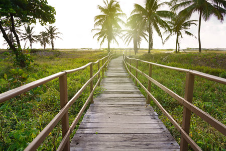 Footbridge to the beach with palm trees in Aracaju, Sergipe, Brazilの写真素材
