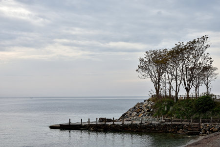 A vertical shot of a tree on the sea shore under a cloudy skyの写真素材