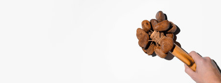 Traditional percussion instrument on a white background. Hand holding bamboo maracas. Music banner, copy spaceの写真素材