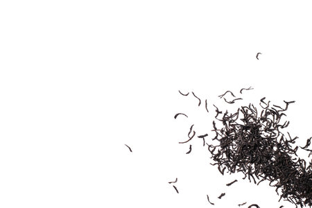 Black tea leaves isolated on white background. Scattered dry tea leaves. top view, copy spaceの写真素材