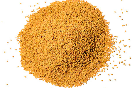 Heap of Helba Egyptian tea isolated on white background, top view. Scattered grains of yellow tea.の写真素材