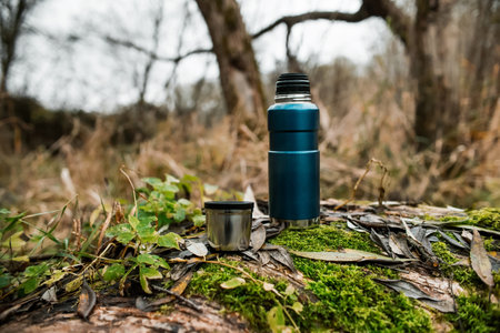 Camping vacuum flask with a mug in the forest. Autumn forest, green moss on the tree