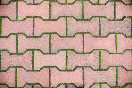 Texture of paving stones with moss, top view. Faded red paving stone background, close upの写真素材