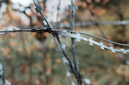Barbed wire close-up on the background of the forest. Protected area, no entry. Blur the background