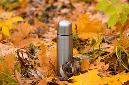 Vacuum steel flask close-up, outdoors. Camping flask in the autumn forest. Hike concept, relaxation in nature, hot drink in cold weather.の写真素材