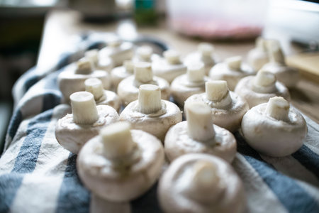 Close-up of white mushrooms champignons on a towel indoors. low angle of view, selective focusの写真素材