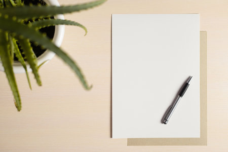 Blank sheet of paper, cardboard and a pen on the writing table. Flat lay, layout. Part of aloe vera in the frame. copy spaceの写真素材