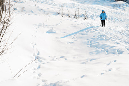 Nordic walking in winter. Woman climbs snowy mountain using Nordic walking sticks. Active lifestyle, adventure concept.の写真素材