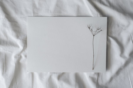 White sheet of watercolor paper and dry wild flower on white cloth, flat lay. Creative mood mockup, copy space.の写真素材