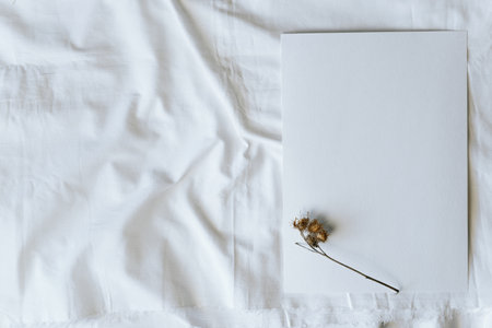 Blank sheet of textured paper and prickly dry flower, flat lay. Mockup with copy spaceの写真素材