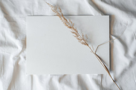 Blank sheet of paper and dry field spikelets, top view. Layout with copy spaceの写真素材