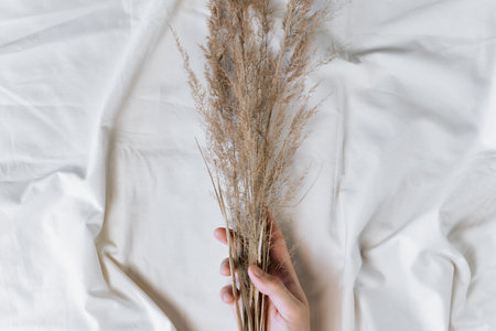 Hand holding a bouquet of dry field spikelet on white background of fabric, top viewの写真素材