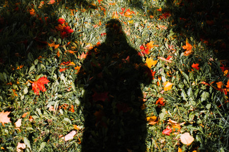Shadow of man on green grass with fallen yellow, red, orange leaves, autumn background. Silhouette...