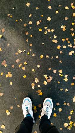 Autumn background top view. Man stands on a wet asphalt covered with fallen yellow leaves, pov....