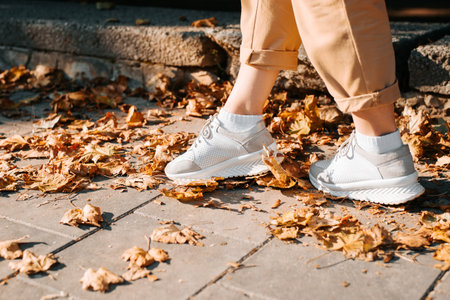 Autumn, hello October concept. Close-up of female legs in sneakers walking along sidewalk covered with fallen yellow leaves, side view. Selective focus.の写真素材