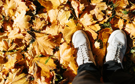 Top view person in gray shoes standing on fallen bright yellow foliage, copy space. Autumn season, hello october.の写真素材