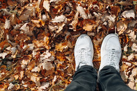 Top view legs in gray boots standing on fallen dry oak leaves outdoors, autumn background with copy space for text,の写真素材