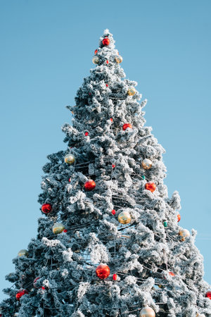 Festive tall decorated Christmas tree covered with snow and frost against clear blue sky, outdoors. Merry christmas and happy new year concept. View from below, vertical photo.の写真素材