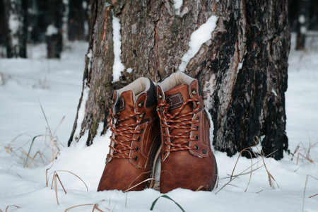 Shoes for hiking and traveling. Front view of pair of new men's leather brown winter boots standing by tree in snowy forest on sunny day, outdoors. Element of clothing, no people.の写真素材