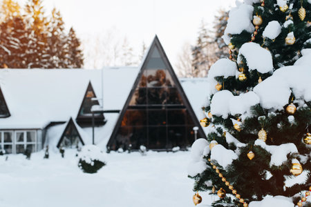 Decorated with golden toys and snow-covered Christmas tree against backdrop of country modern house in forest in winter, outdoors. Selective focus on Christmas tree, cottage bokeh.の写真素材