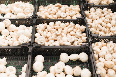 Fresh champignon mushrooms in containers in store in vegetable department of supermarket. Close-up, selective focus, frontal view.の写真素材