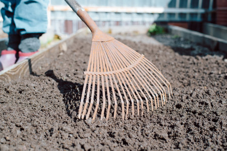 Close-up of fan rake in garden bed outdoors. Garden work.の写真素材