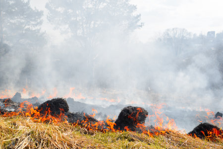 Fire in countryside field, bright flames on dry grass and smoke in meadow on hot day, outdoors. Natural disaster, environmental pollution.の写真素材