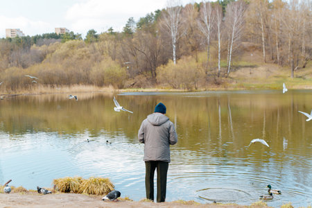Back view of an elderly man in jacket and hat feeding birds standing on shore near water in sunny...