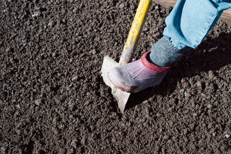 Garden work, soil preparation for sowing. Gardener digging ground with shovel at farm outdoors....
