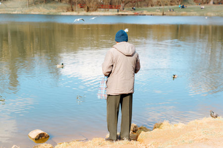 Back view of senior man in jacket and hat standing on shore near water and feeding birds and ducks, outdoors.の写真素材