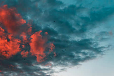 Red cloudy sunset on blue sky in evening with silhouettes of flying birds.の写真素材