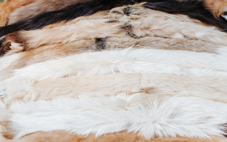 Close-up of a row of fur skins of wild animals outdoors, selective focus.
