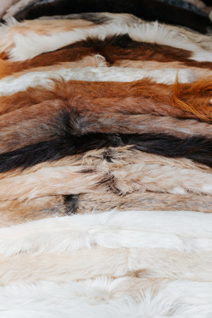 Multicolored row of fur skins of wild animals outdoors. Vertical view, selective focus.