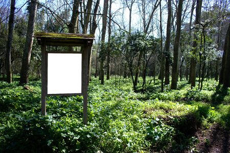 Information board in the middle of a green forestの写真素材