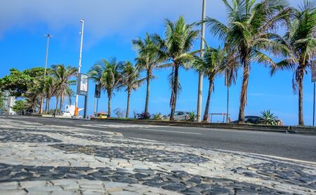 Ipanema promenade with blue sky, green palm trees and black and white iconic mosaic, Portuguese pavement by old design pattern at sunny day, Rio de Janeiro, Brazilの写真素材