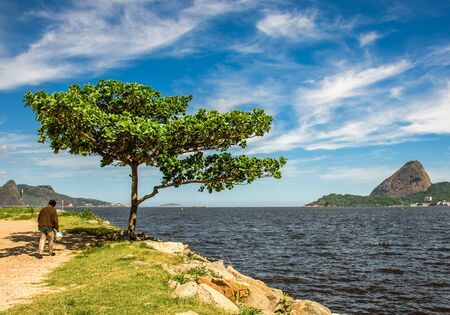 Walking man in the shadow of the green tree and Guanabara Bay at sunny day with Sugarloaf Mountain in the background , Rio de Janeiro, Brazilの写真素材