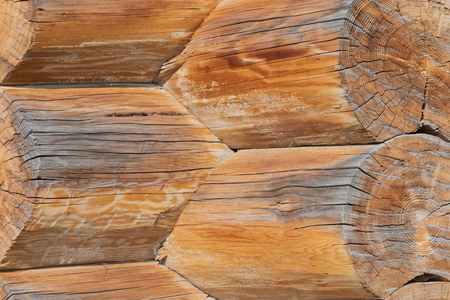 Closeup of joint of cracked logs and transect of round logs with coils and cracks at the corner of old wooden building at sunny dayの写真素材