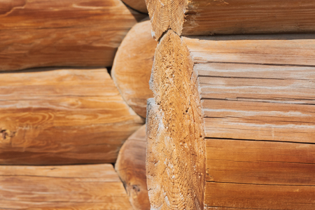 Closeup of joint of cracked logs and transect of round logs with coils and cracks at the corner of old wooden building at sunny dayの写真素材