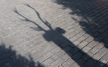 Shadow of the Christmas reindeer with large branching antlers with trees on the paving stone