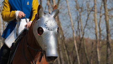 Head of Armored Warhorse in profile wearing chanfron on it's muzzle and medieval knight without head on horseback wearing yellow and blue costumeの写真素材
