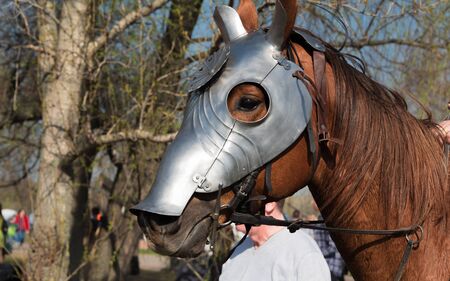Head of Armored Warhorse in profile wearing chanfron on it's muzzle with blurry people and trees on the backgroundの写真素材