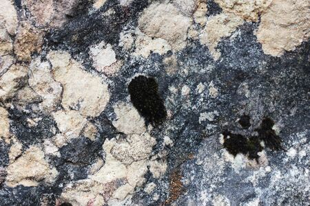 texture of stoneの写真素材