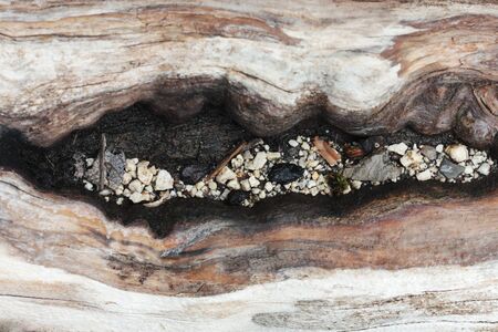 old wood texture with stonesの写真素材