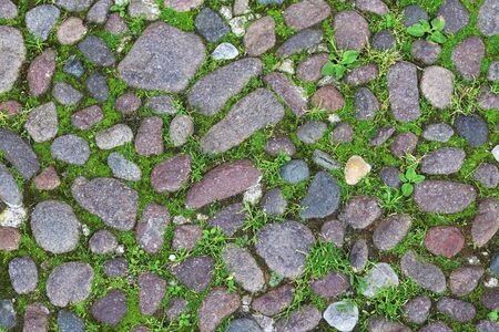 stone texture road with green grassの写真素材