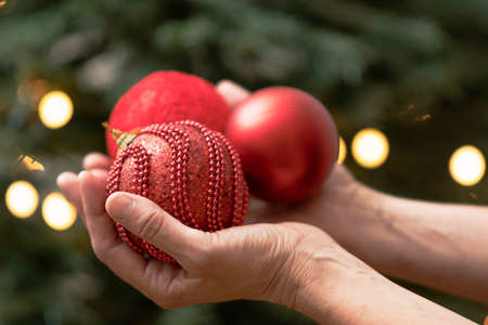 hands holding red balls to hang on a Christmas treeの写真素材