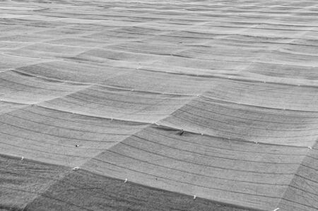 Agriculture shade net used in green tea plantations in Fuji City, Shizuoka Prefecture, Japan. Perpendicular view. Horizontal shot.の写真素材