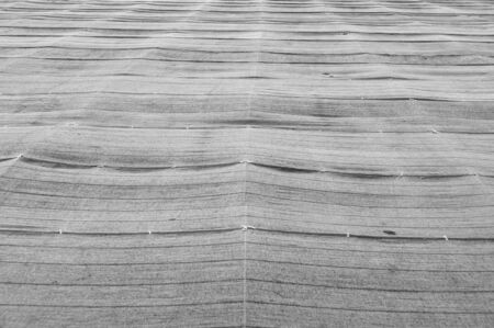 Agriculture shade net used in green tea plantations in Fuji City, Shizuoka Prefecture, Japan. Front...