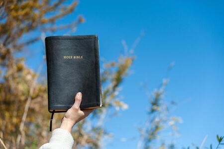 Raised hand holding the Holy Bible. Background with trees and blue sky on a beautiful winter morning. Horizontal shot.の写真素材